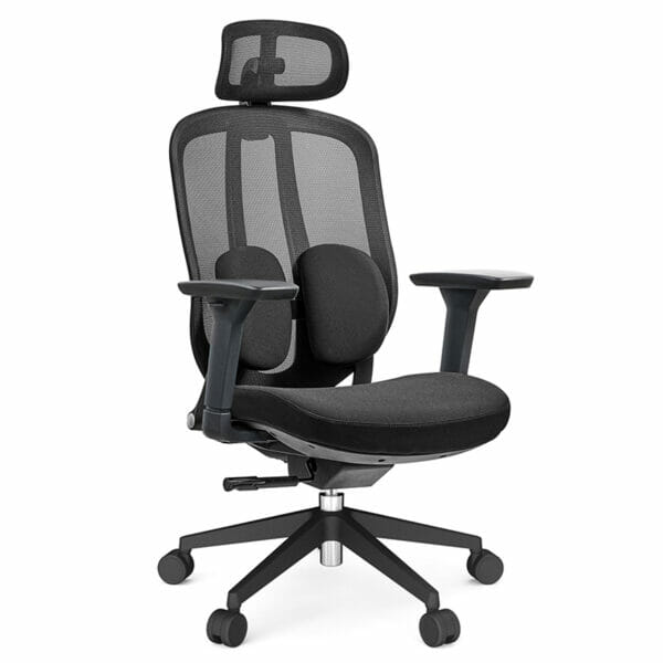 Silla ejecutiva Eretria, esta viendo de lado izquierdo, tiene un doble respaldo en la espalda, es de color negro