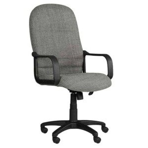 Silla ejecutiva Spazio Silver