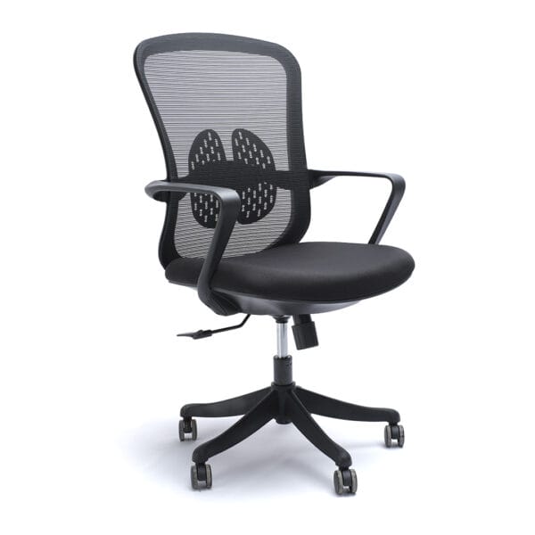 Eretria basic negro 2