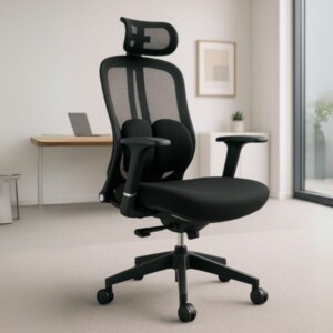 Silla ejecutiva Eretria