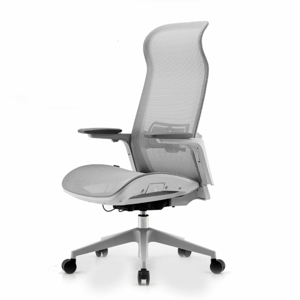 Silla ejecutiva Luciana, está viendo a la derecha, se ve que el respaldo y el asiento está reforzado, de color gris claro