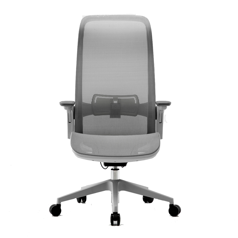 Silla ejecutiva Luciana, está viendo de frente, con respaldo y asiento reforzados, es de color gris claro