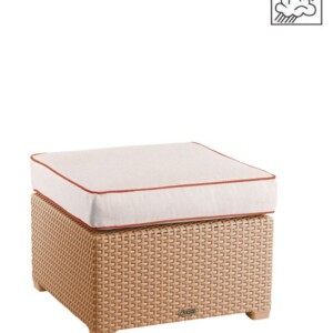 Ottoman Patricia camel