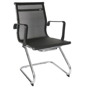 Silla de visita Famoso