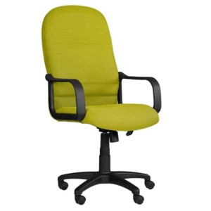 Silla ejecutiva Spazio Verde Manzano, está de lado volteando a la derecha, con asiento acolchonado