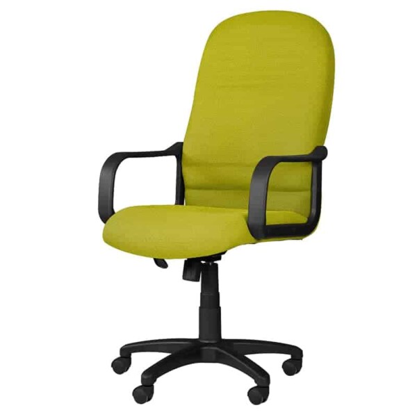 Silla ejecutiva Spazio Verde Manzano, está volteando a la izquierda, con asiento acolchonado