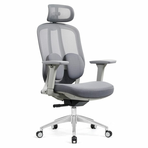 Silla ejecutiva Eretria Gris