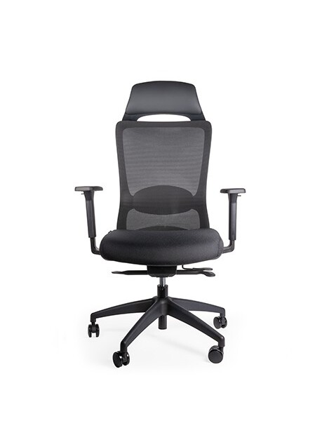 Sillón ejecutivo Roblox